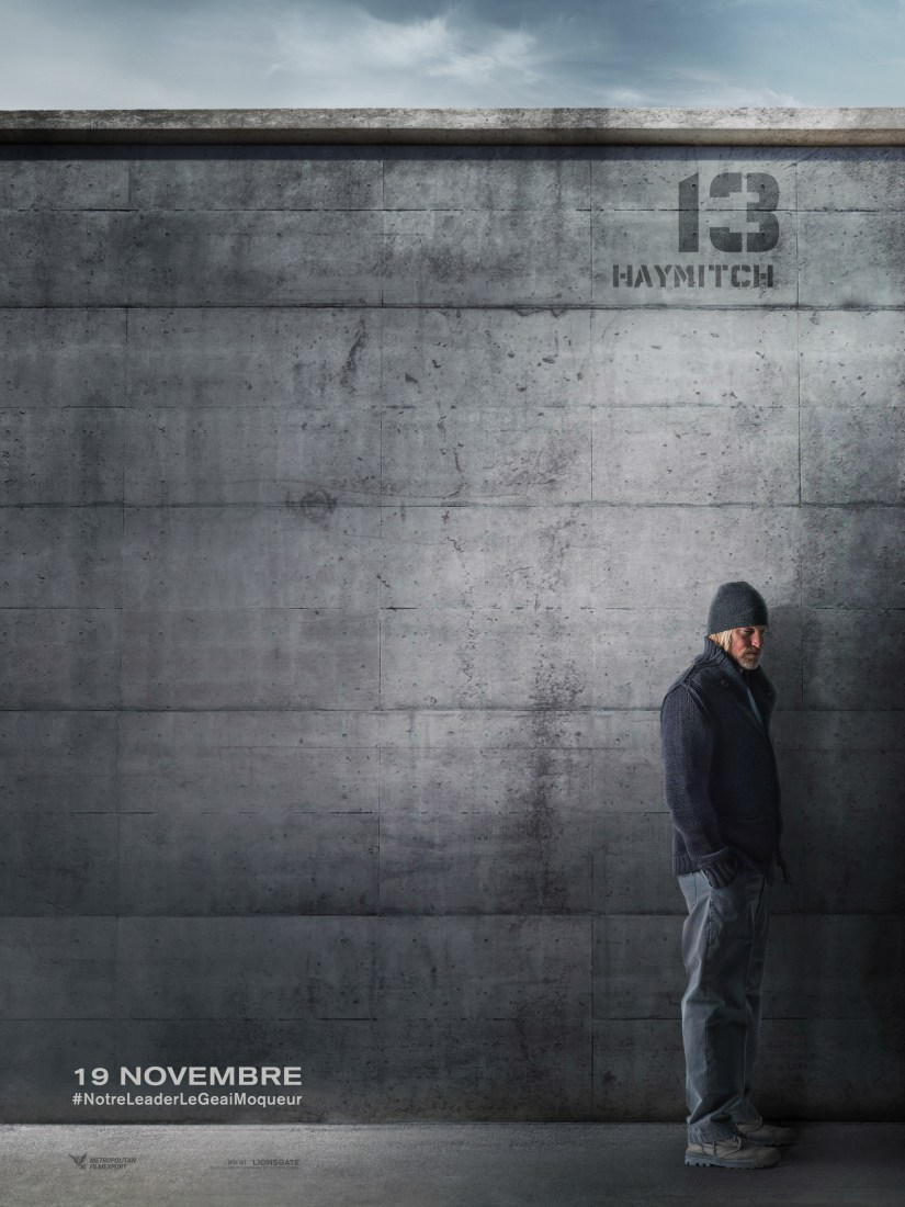 120x160 Haymitch D13