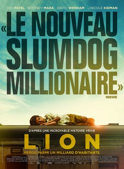 lion_v3